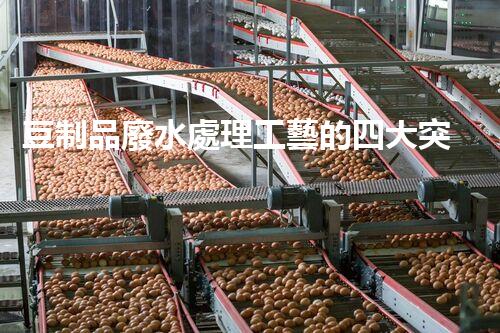 豆制品廢水處理工藝的四大突破？揭秘高效凈化新時(shí)代！